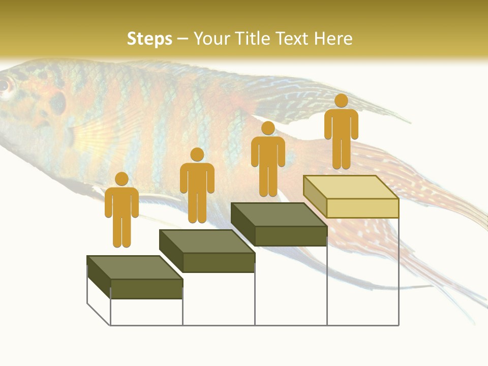 Macropodus Tropical Isolated PowerPoint Template