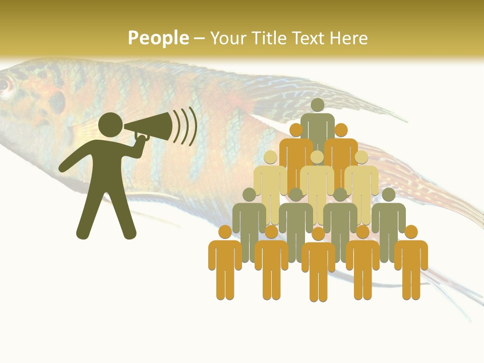 Macropodus Tropical Isolated PowerPoint Template