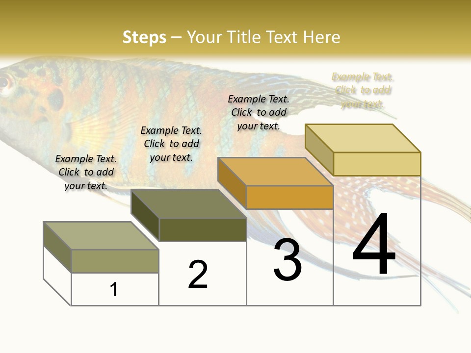 Macropodus Tropical Isolated PowerPoint Template