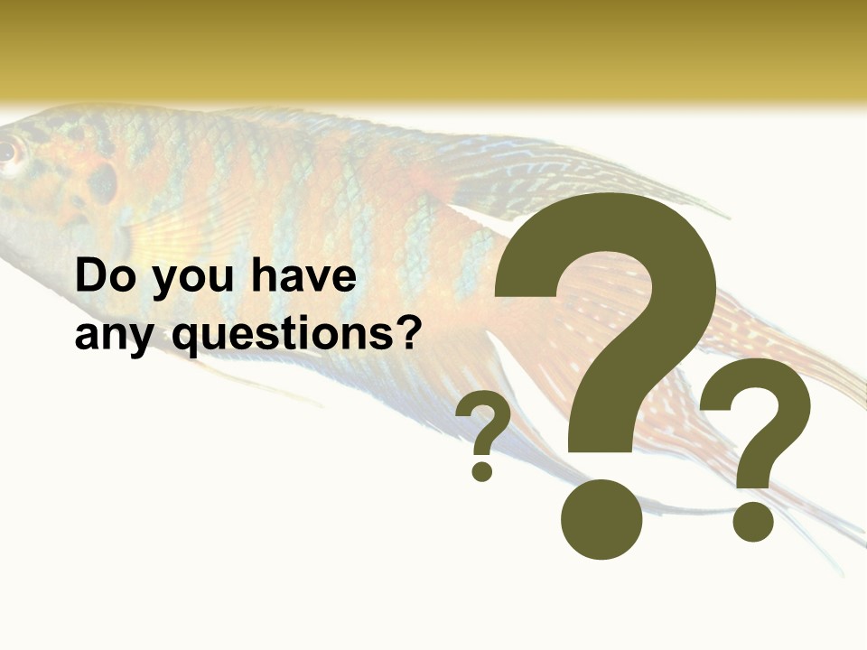 Macropodus Tropical Isolated PowerPoint Template