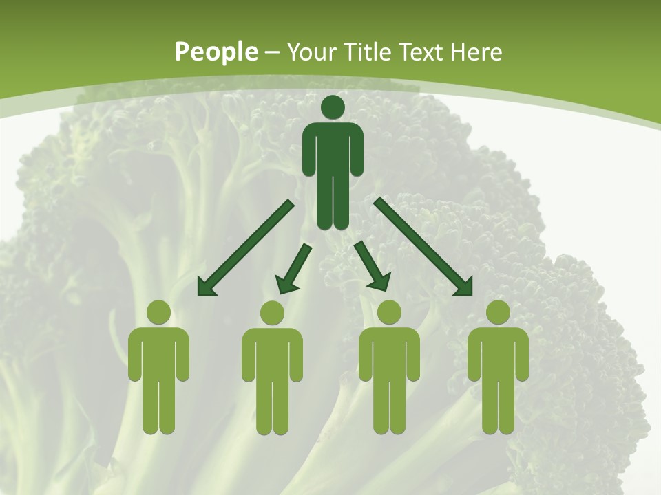 Career Worker Friendly PowerPoint Template