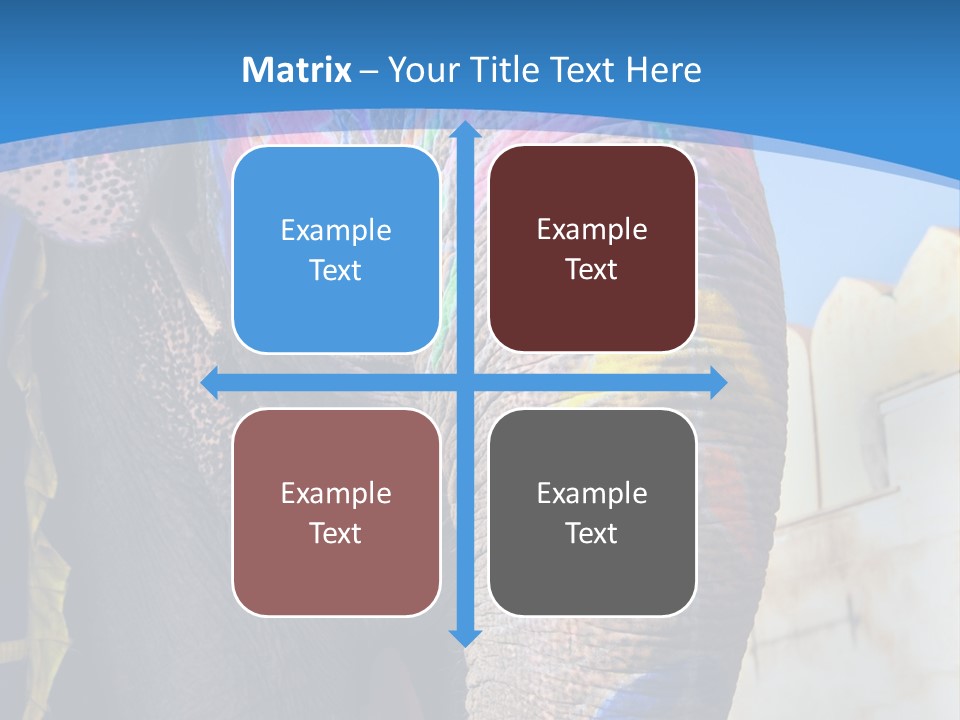 Painted Spots Jaipur PowerPoint Template