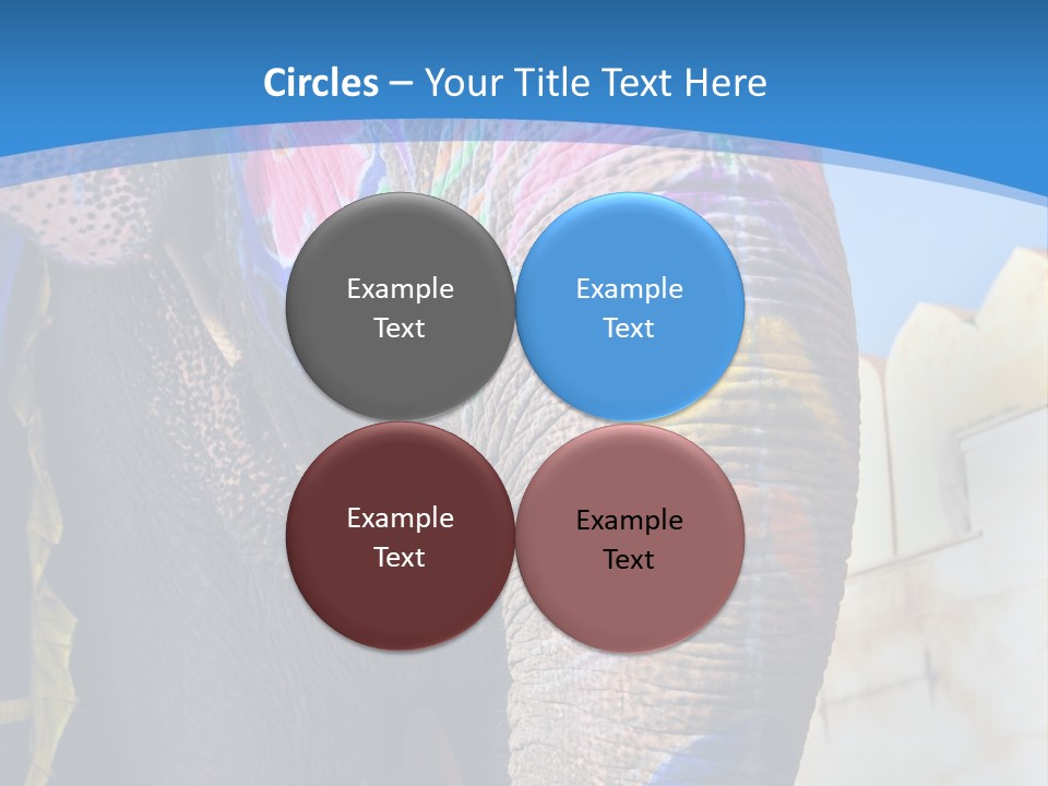 Painted Spots Jaipur PowerPoint Template