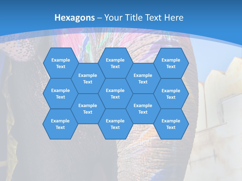 Painted Spots Jaipur PowerPoint Template