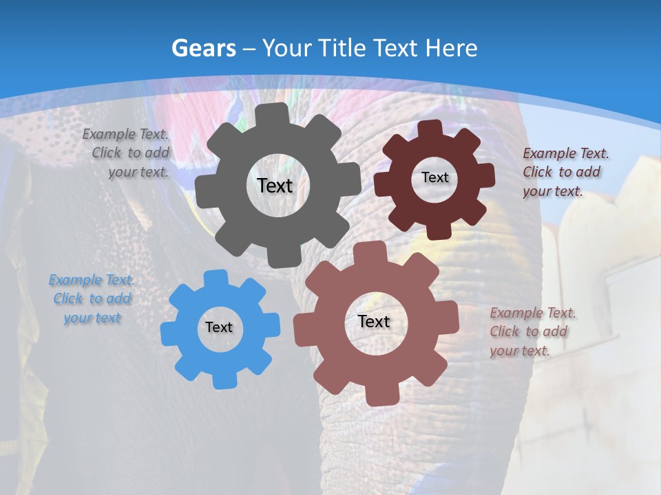 Painted Spots Jaipur PowerPoint Template