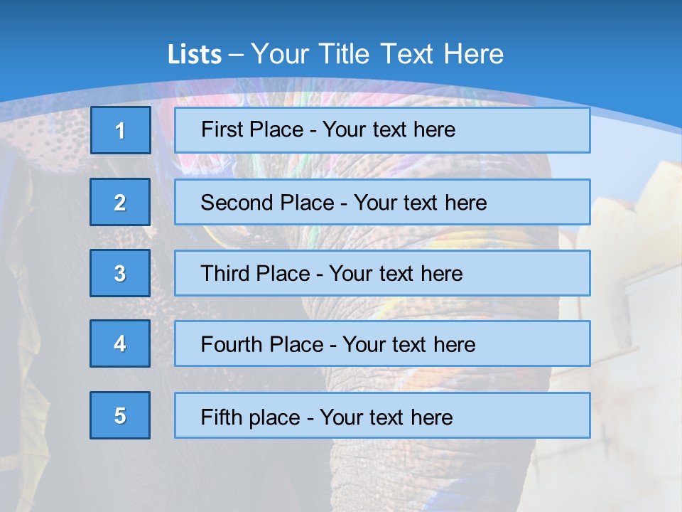 Painted Spots Jaipur PowerPoint Template
