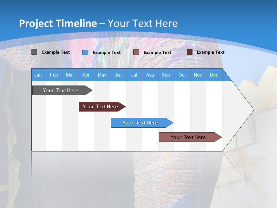 Painted Spots Jaipur PowerPoint Template
