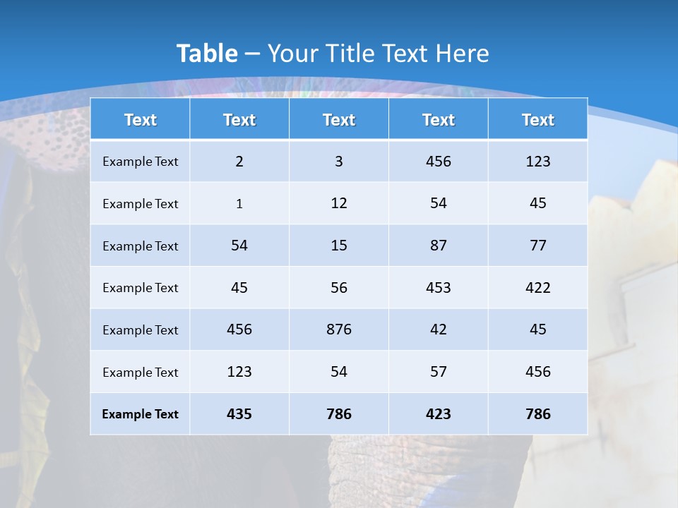 Painted Spots Jaipur PowerPoint Template