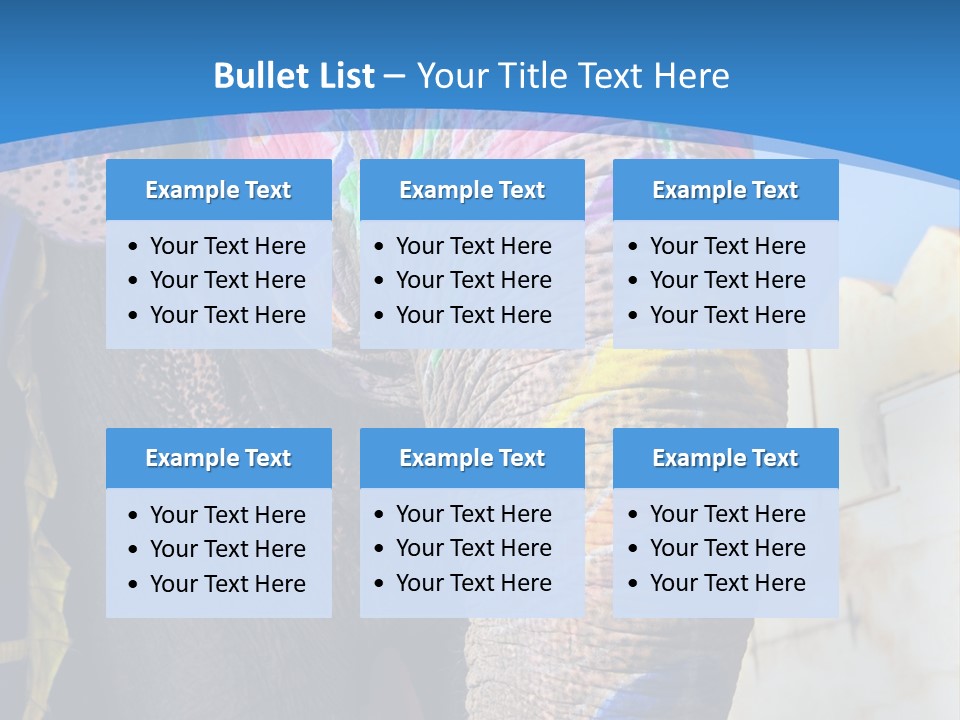 Painted Spots Jaipur PowerPoint Template