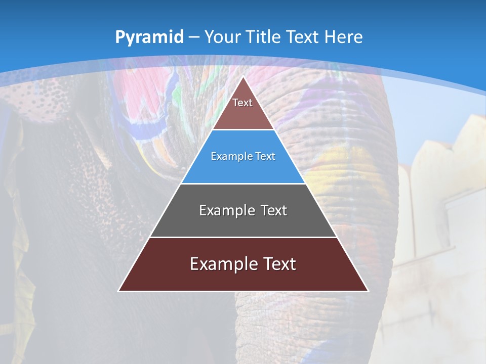 Painted Spots Jaipur PowerPoint Template