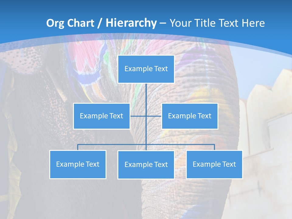Painted Spots Jaipur PowerPoint Template