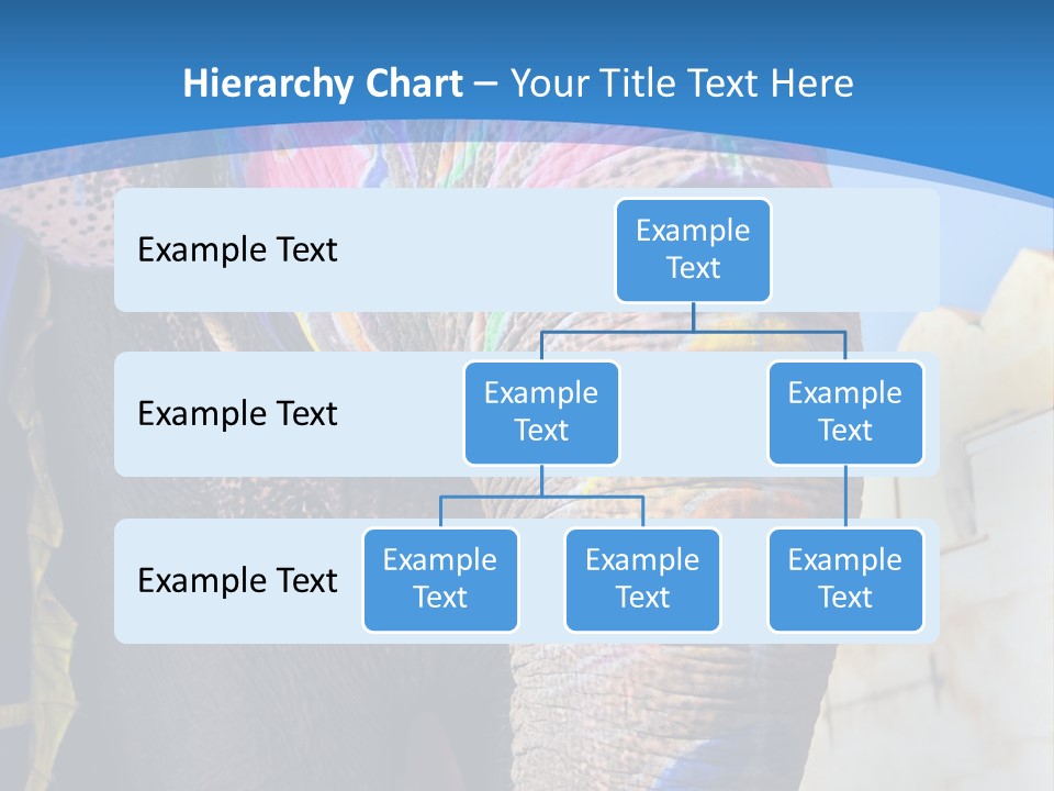 Painted Spots Jaipur PowerPoint Template