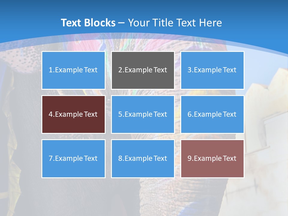 Painted Spots Jaipur PowerPoint Template