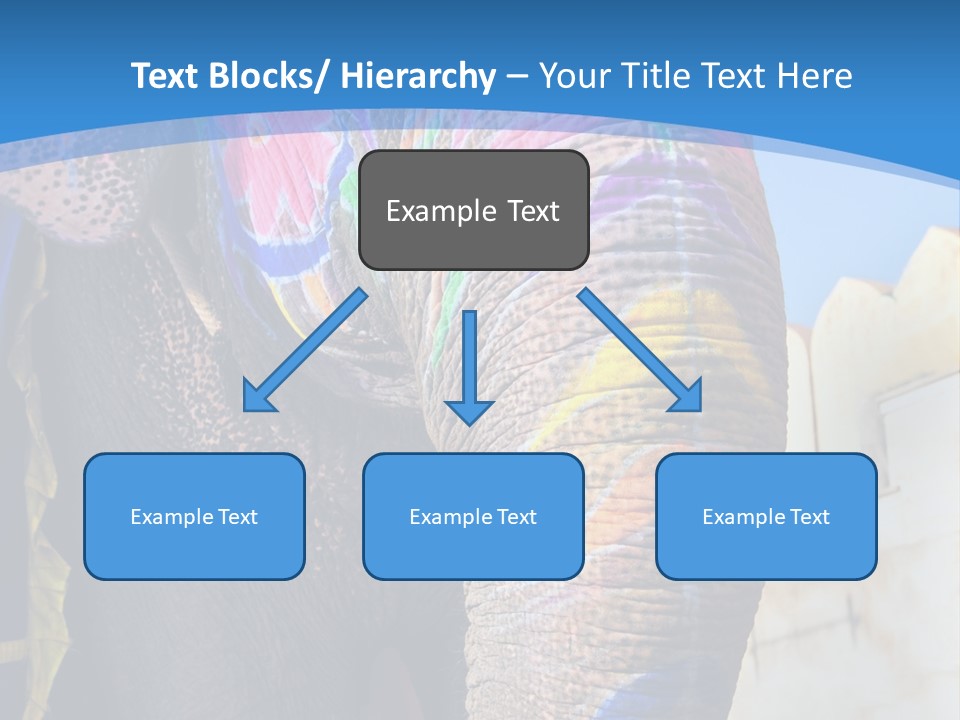 Painted Spots Jaipur PowerPoint Template