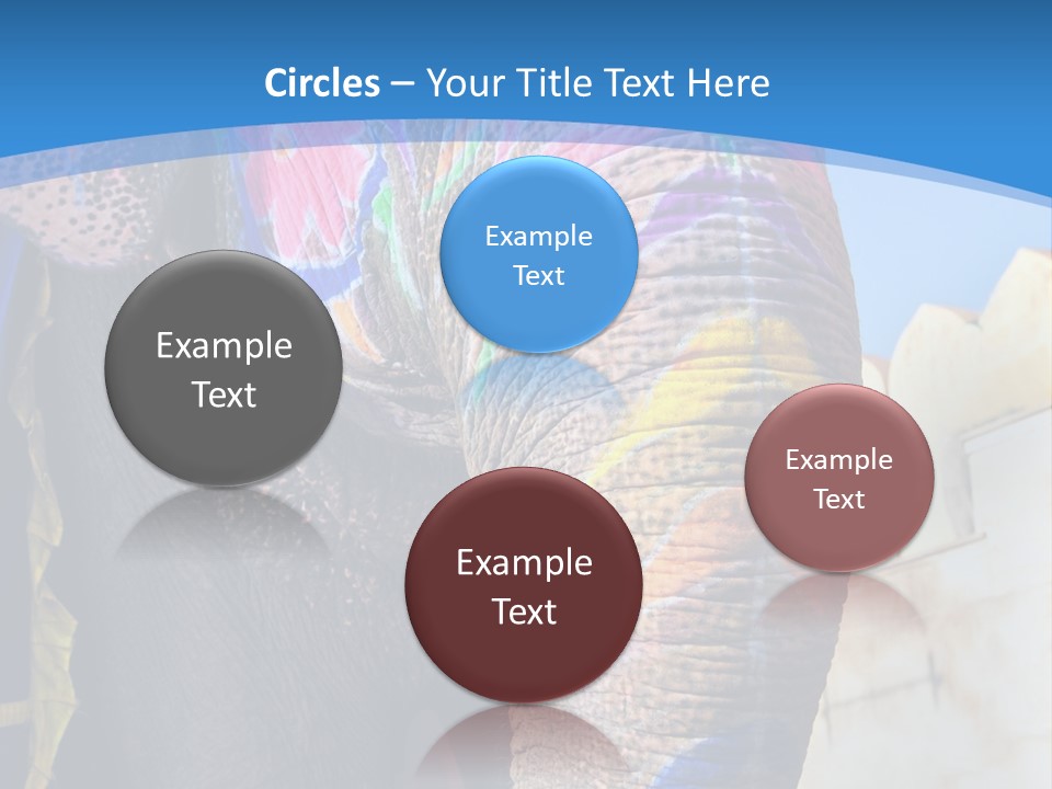 Painted Spots Jaipur PowerPoint Template