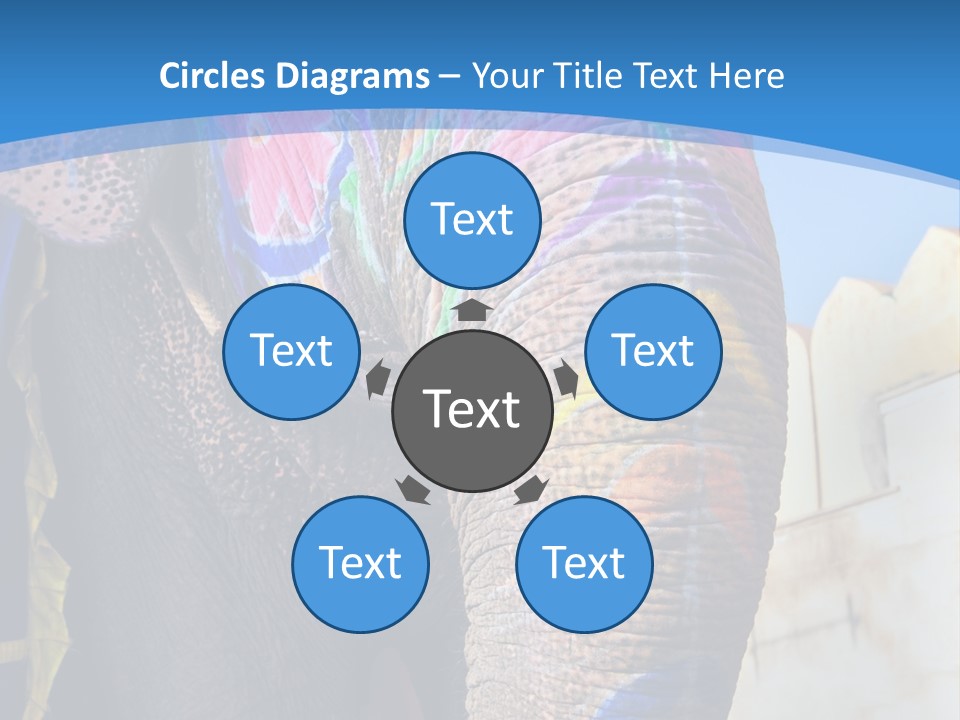 Painted Spots Jaipur PowerPoint Template