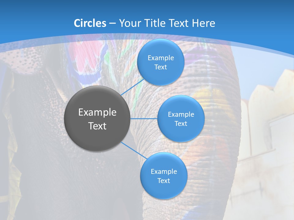 Painted Spots Jaipur PowerPoint Template