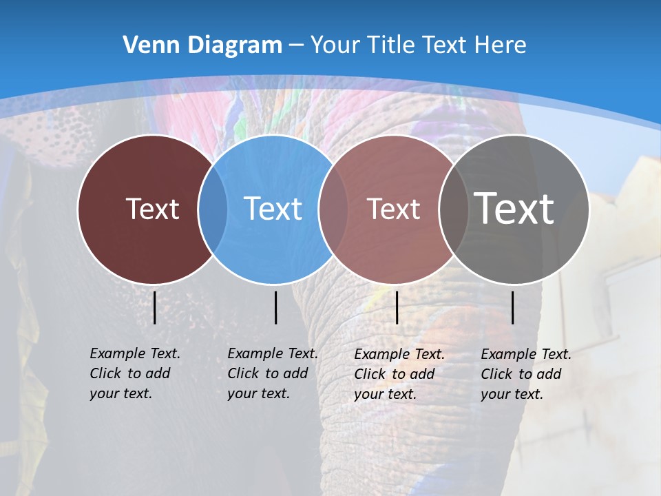 Painted Spots Jaipur PowerPoint Template