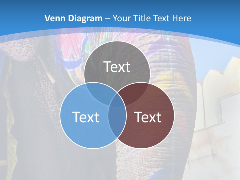 Painted Spots Jaipur PowerPoint Template