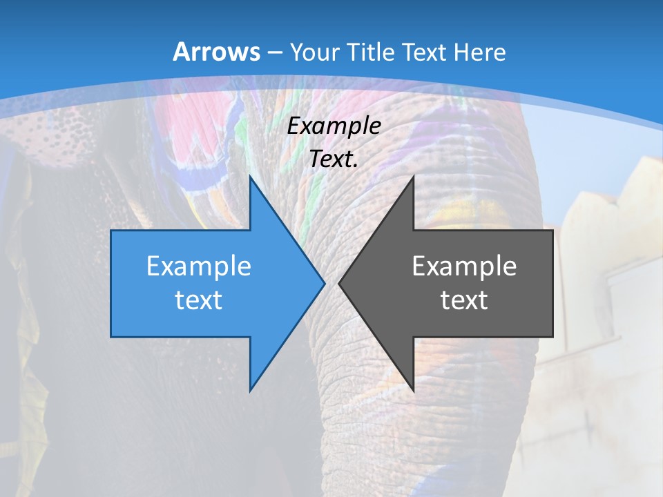 Painted Spots Jaipur PowerPoint Template