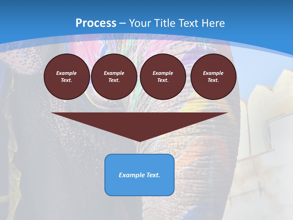 Painted Spots Jaipur PowerPoint Template