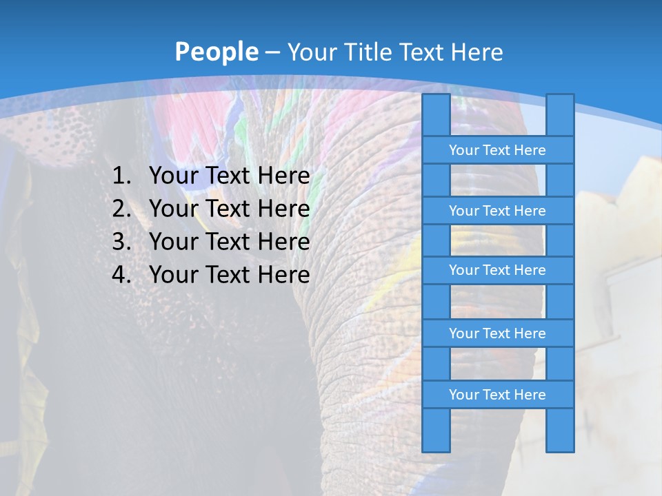 Painted Spots Jaipur PowerPoint Template