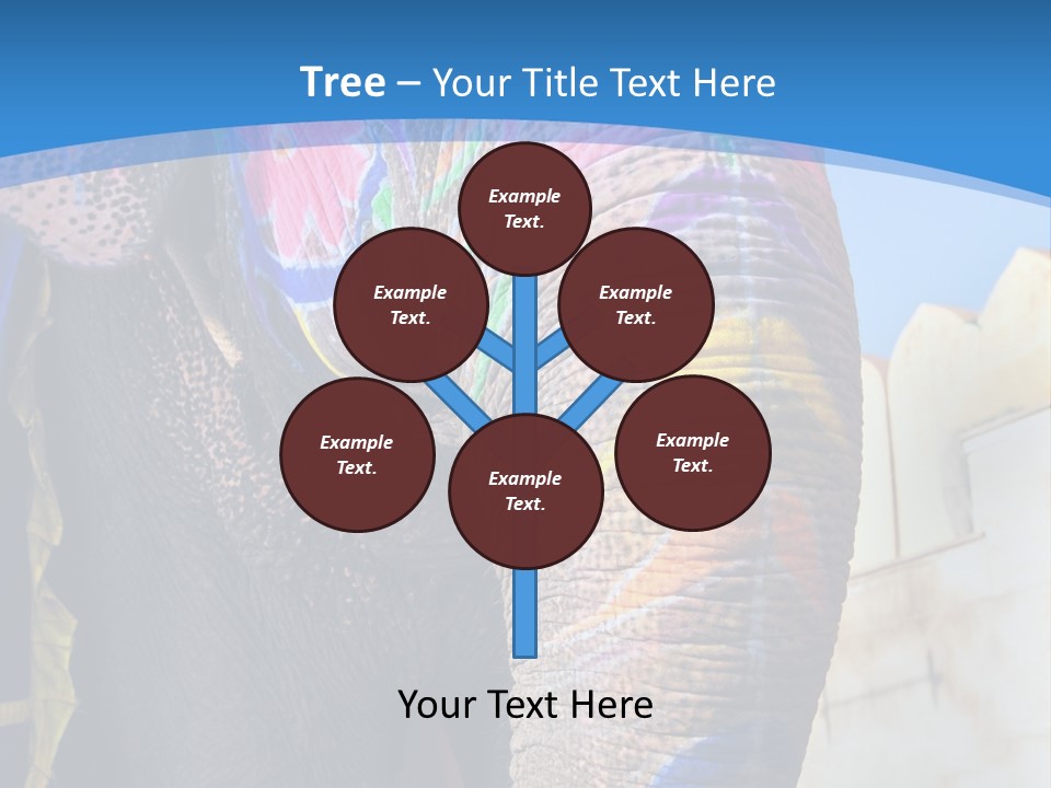 Painted Spots Jaipur PowerPoint Template