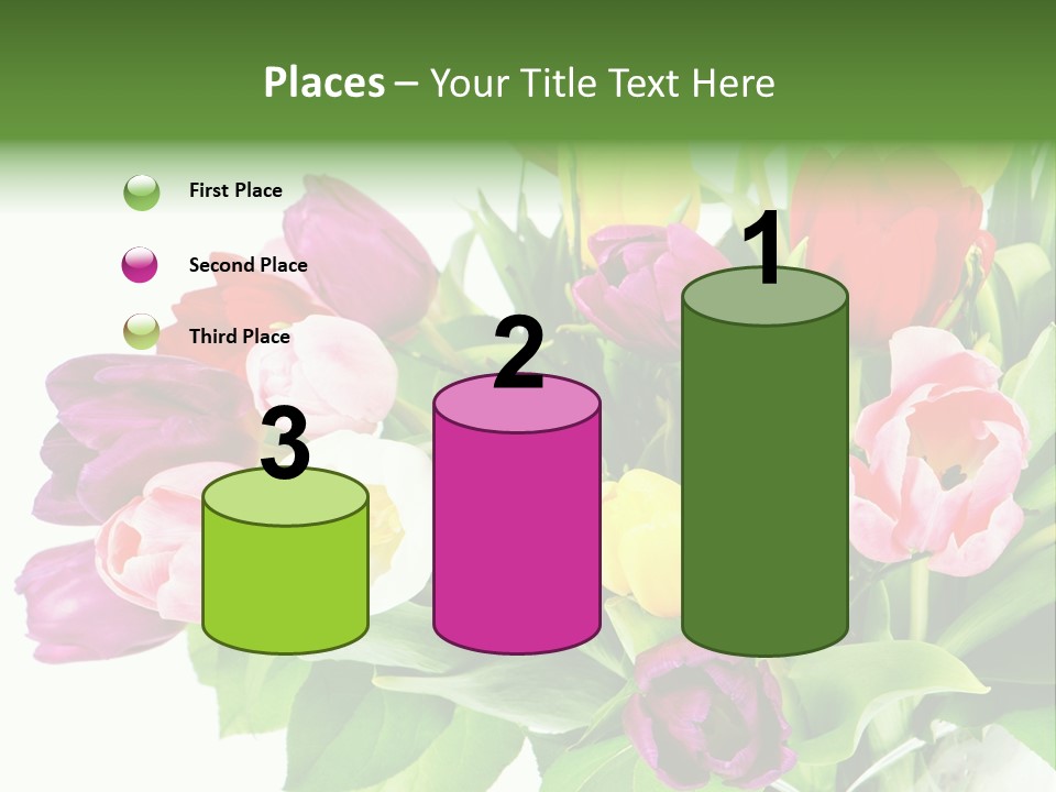 Foliage Plant Bouquet PowerPoint Template