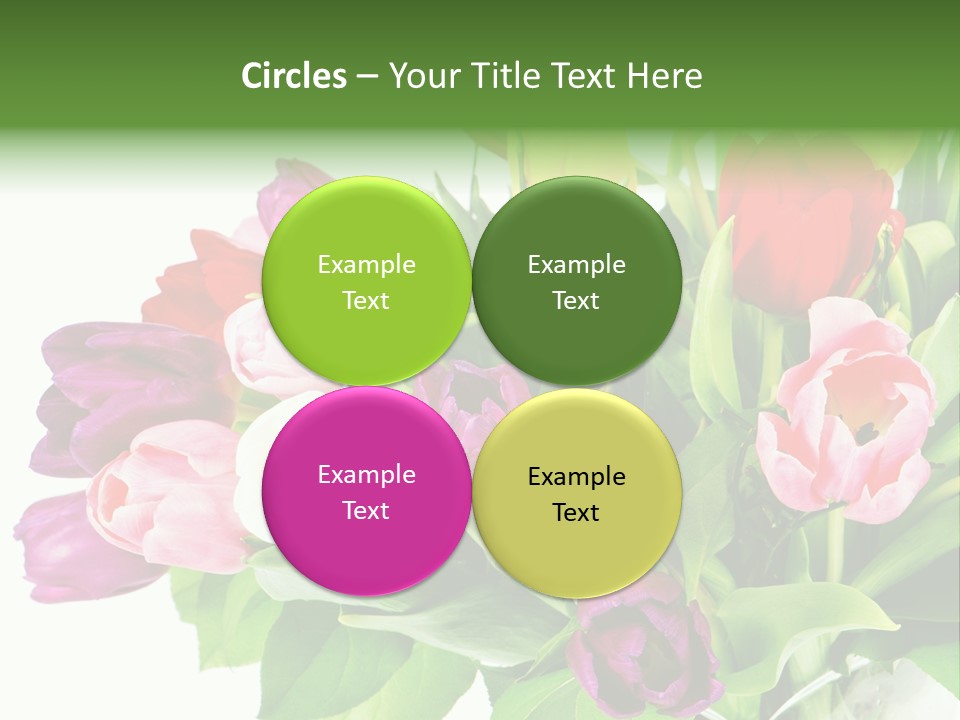 Foliage Plant Bouquet PowerPoint Template