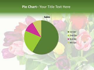 Foliage Plant Bouquet PowerPoint Template