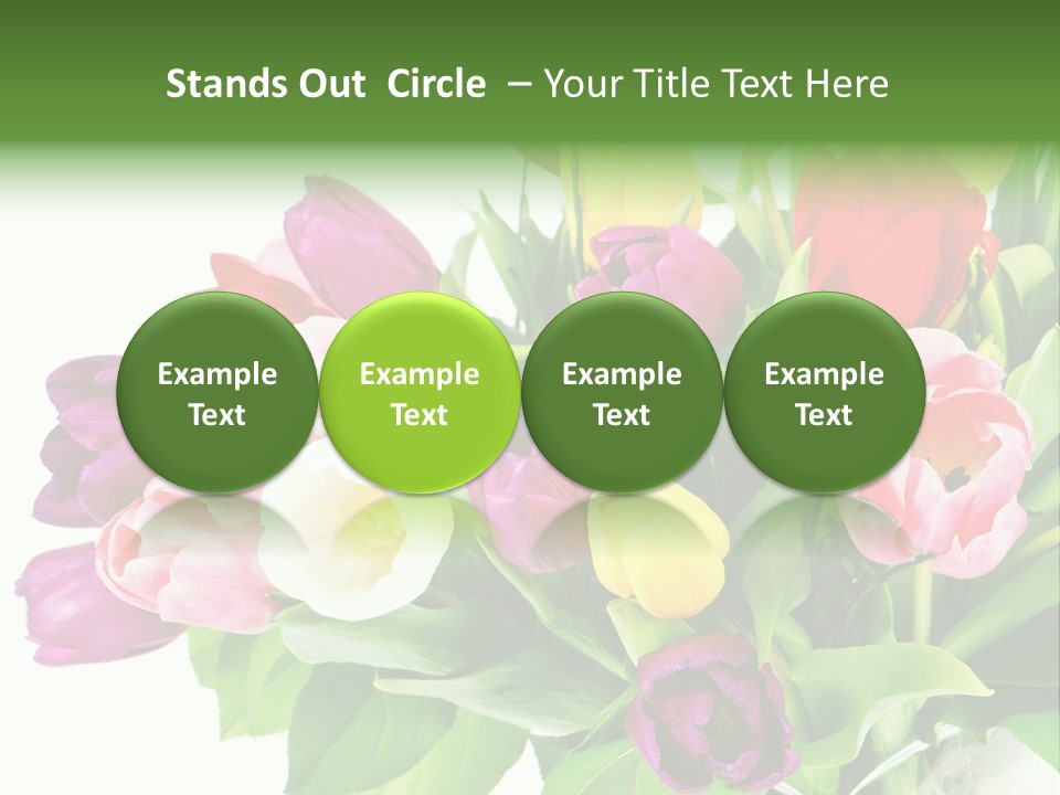 Foliage Plant Bouquet PowerPoint Template