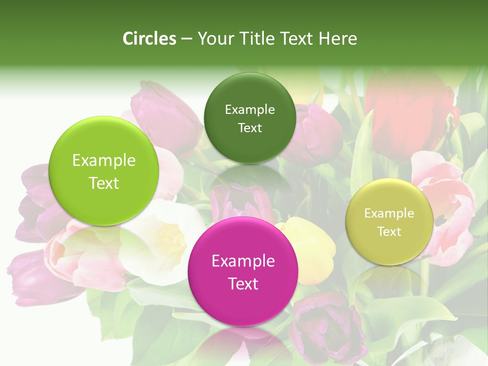 Foliage Plant Bouquet PowerPoint Template
