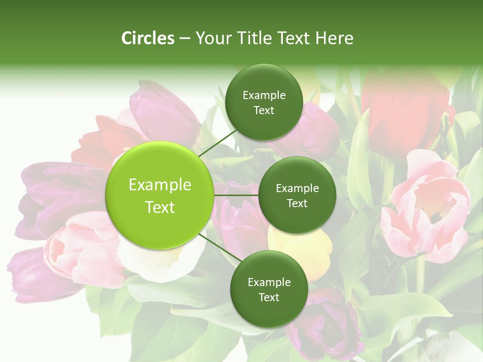 Foliage Plant Bouquet PowerPoint Template