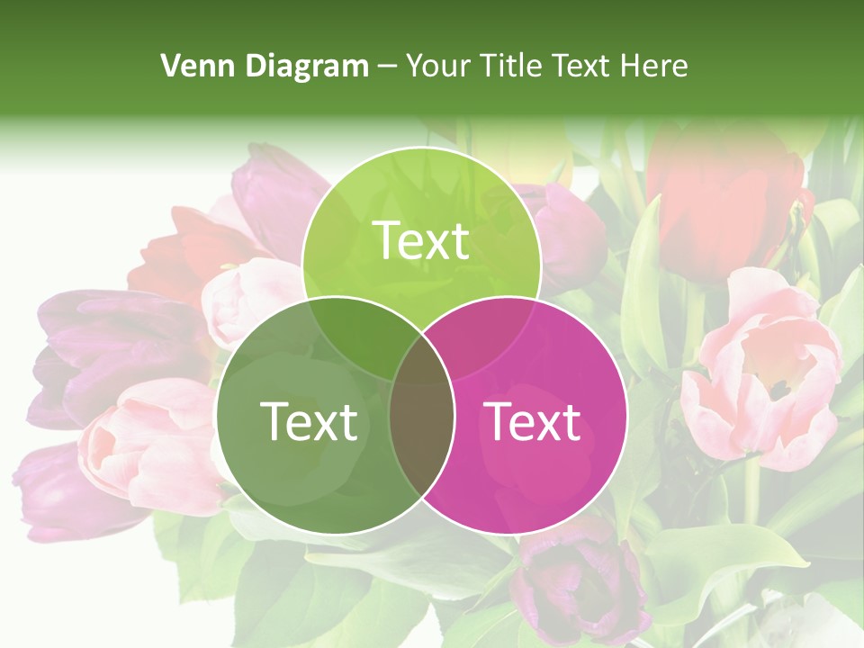 Foliage Plant Bouquet PowerPoint Template