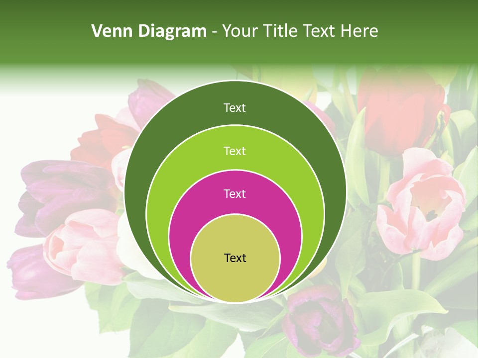 Foliage Plant Bouquet PowerPoint Template