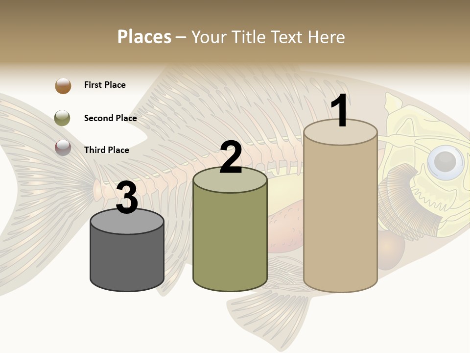 Indoors Kitchen Table PowerPoint Template