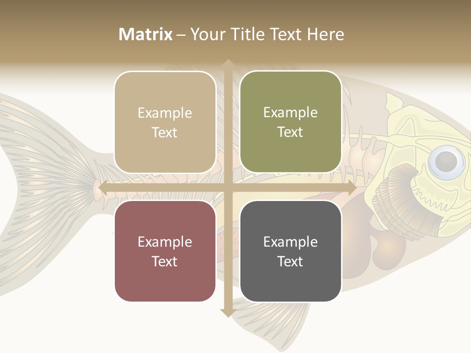 Indoors Kitchen Table PowerPoint Template