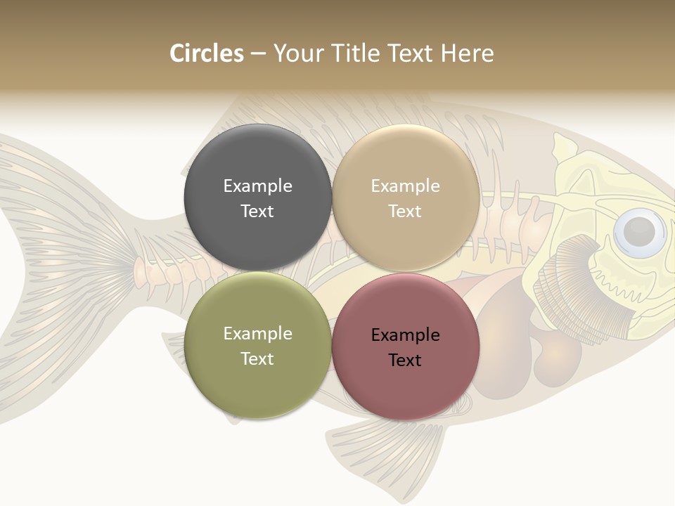 Indoors Kitchen Table PowerPoint Template