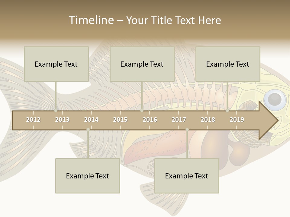 Indoors Kitchen Table PowerPoint Template