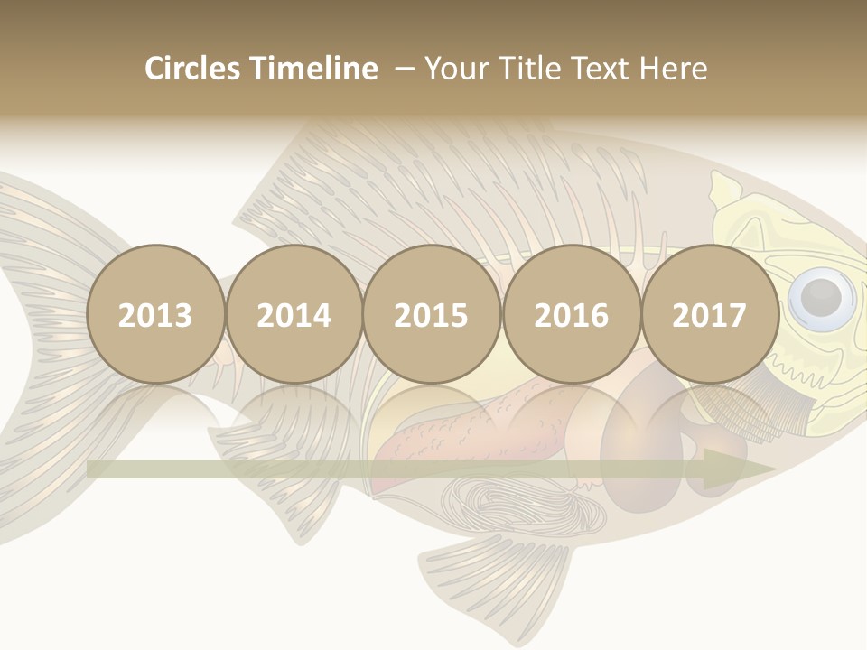 Indoors Kitchen Table PowerPoint Template