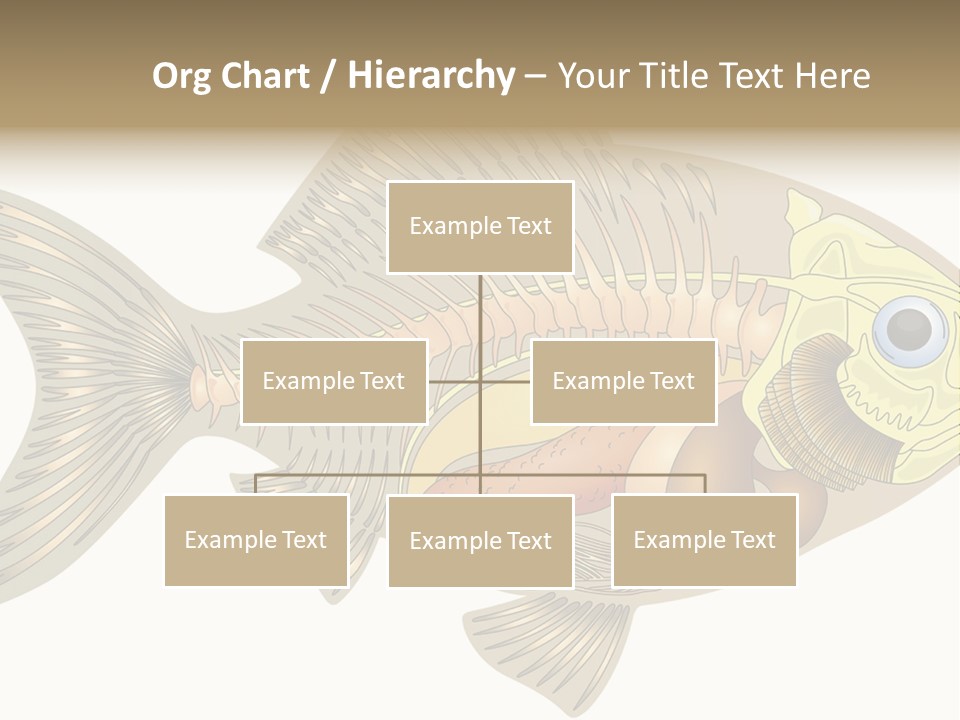 Indoors Kitchen Table PowerPoint Template