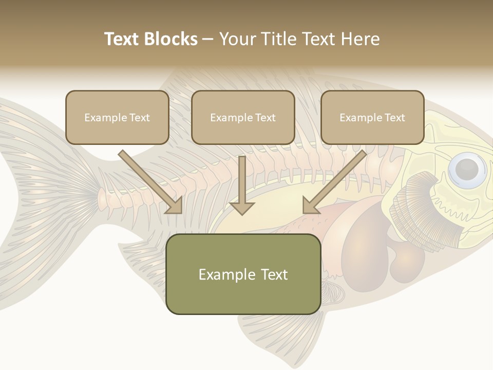 Indoors Kitchen Table PowerPoint Template
