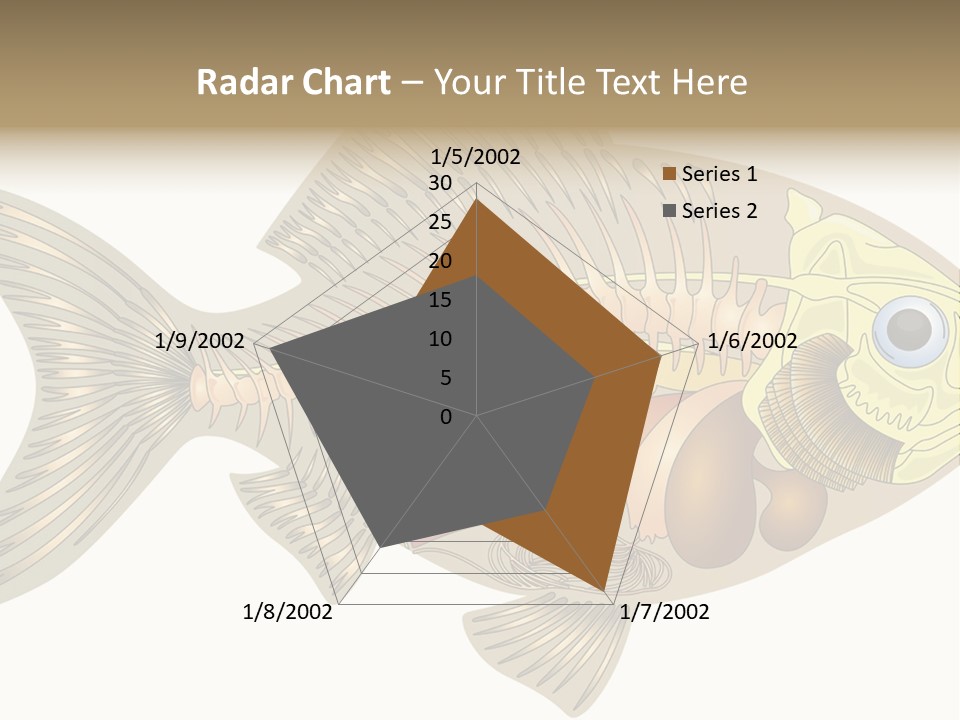 Indoors Kitchen Table PowerPoint Template
