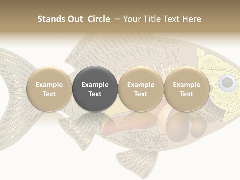 Indoors Kitchen Table PowerPoint Template