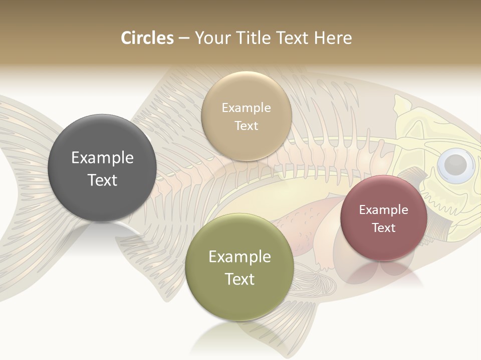 Indoors Kitchen Table PowerPoint Template