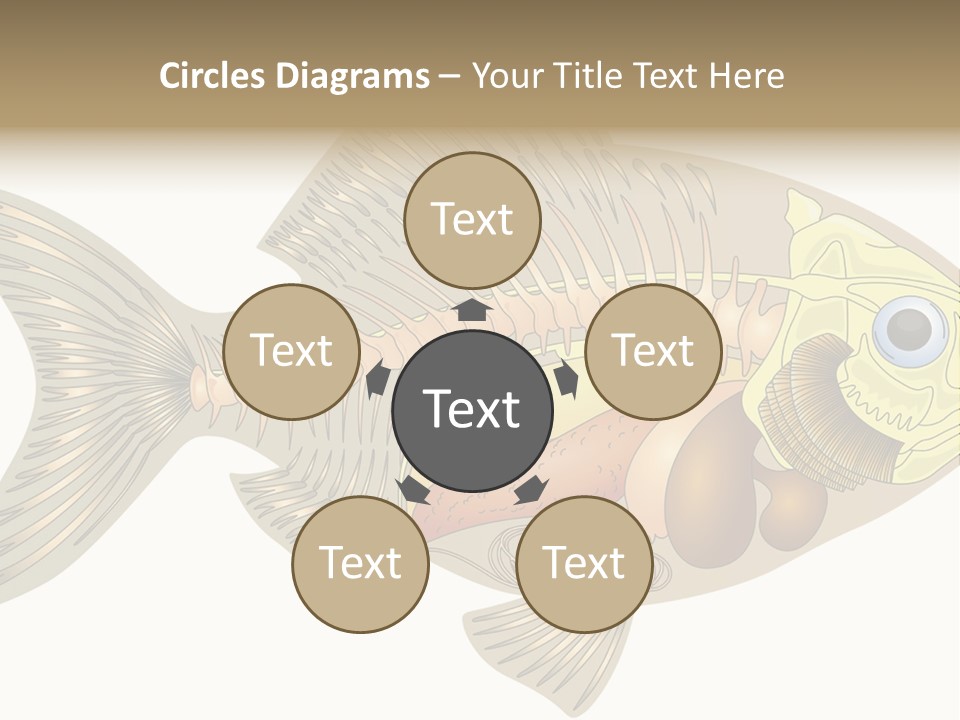 Indoors Kitchen Table PowerPoint Template