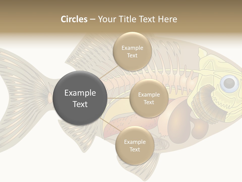Indoors Kitchen Table PowerPoint Template