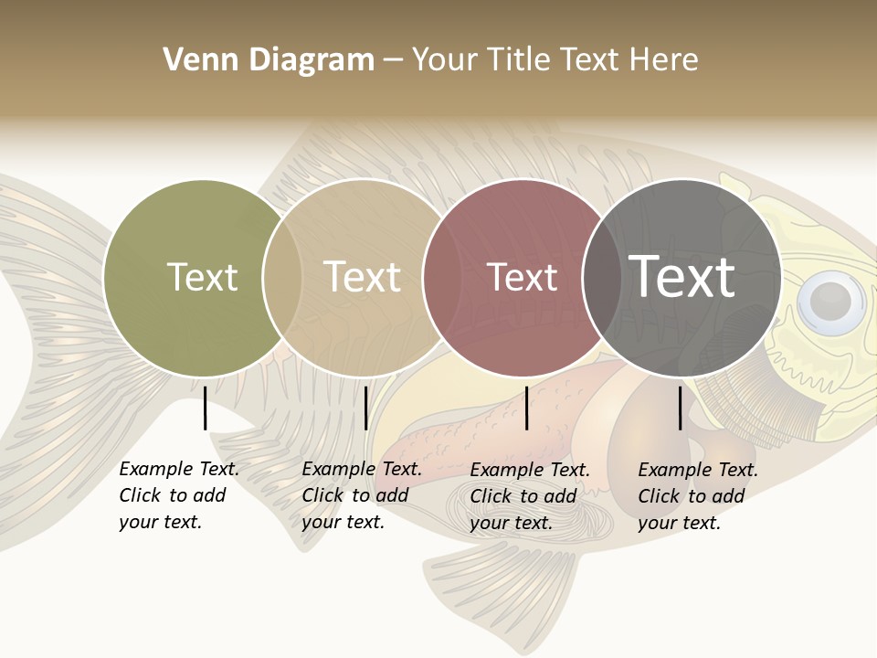 Indoors Kitchen Table PowerPoint Template
