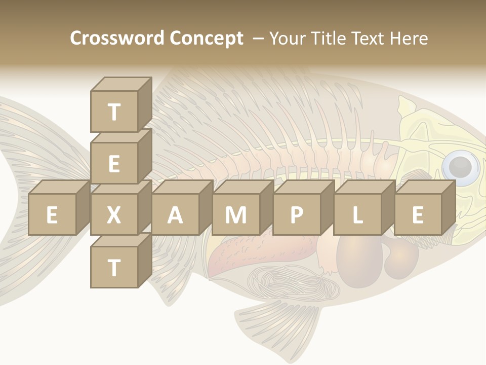 Indoors Kitchen Table PowerPoint Template