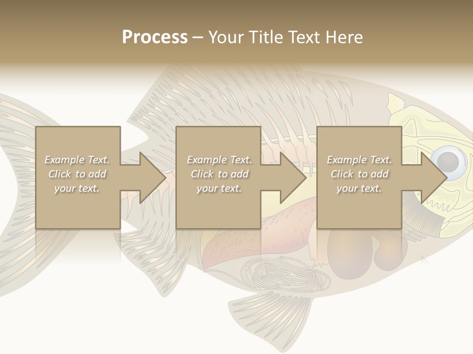 Indoors Kitchen Table PowerPoint Template